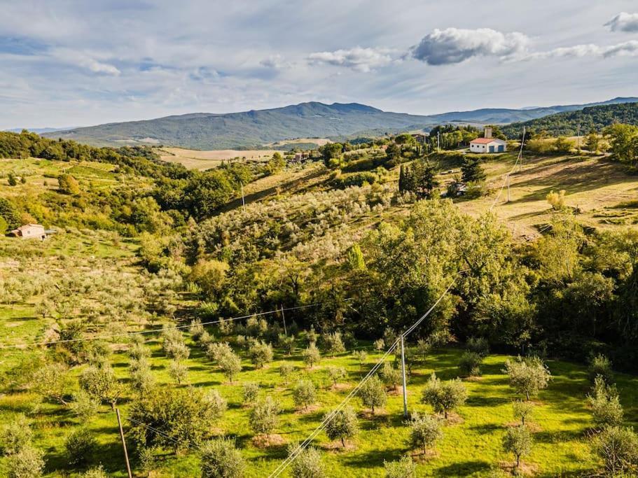 Casa Della Nonna Villa Chianni Eksteriør bilde